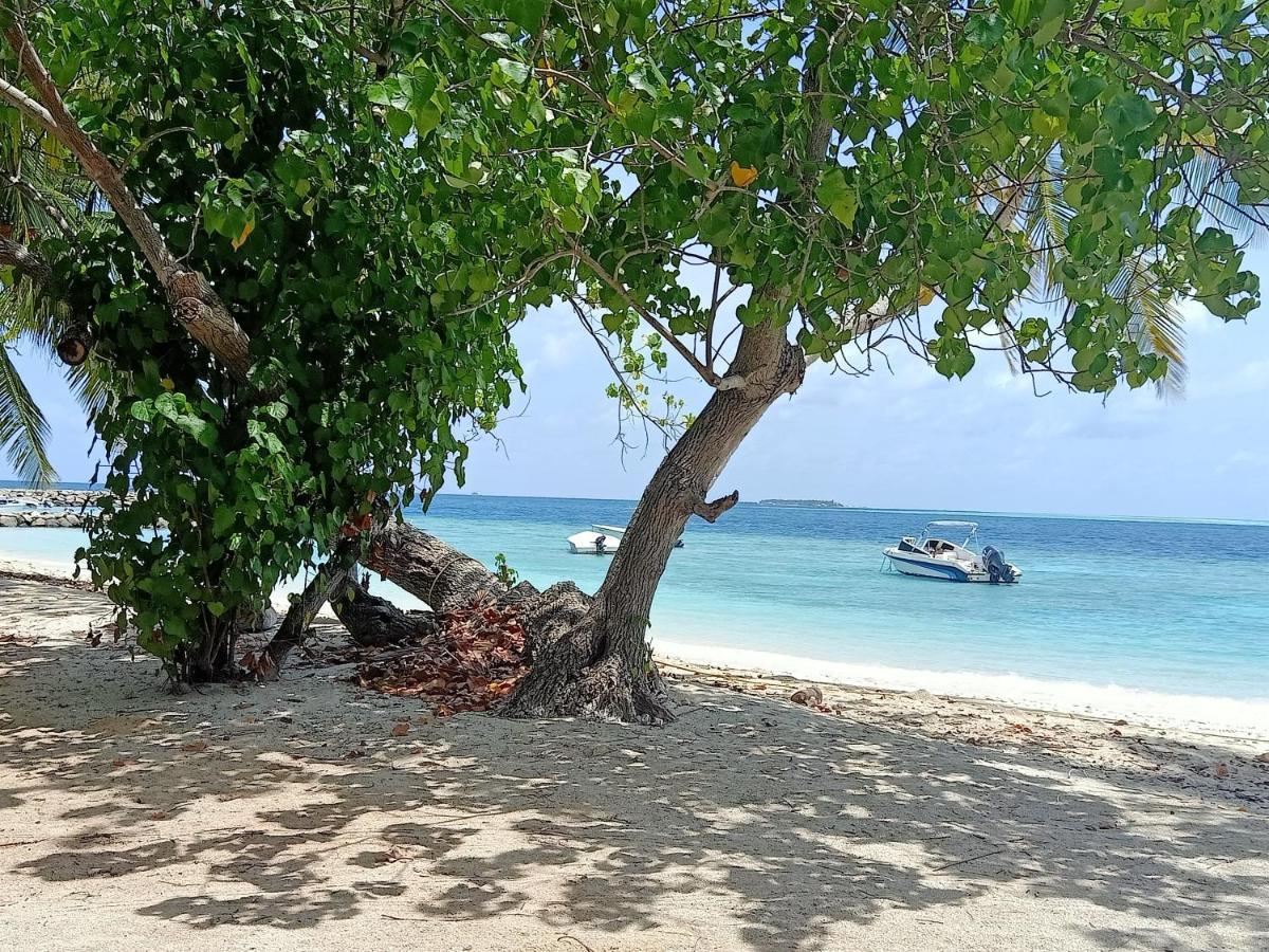 Fins Dive And Leisure Hotel Rasdhoo Eksteriør bilde