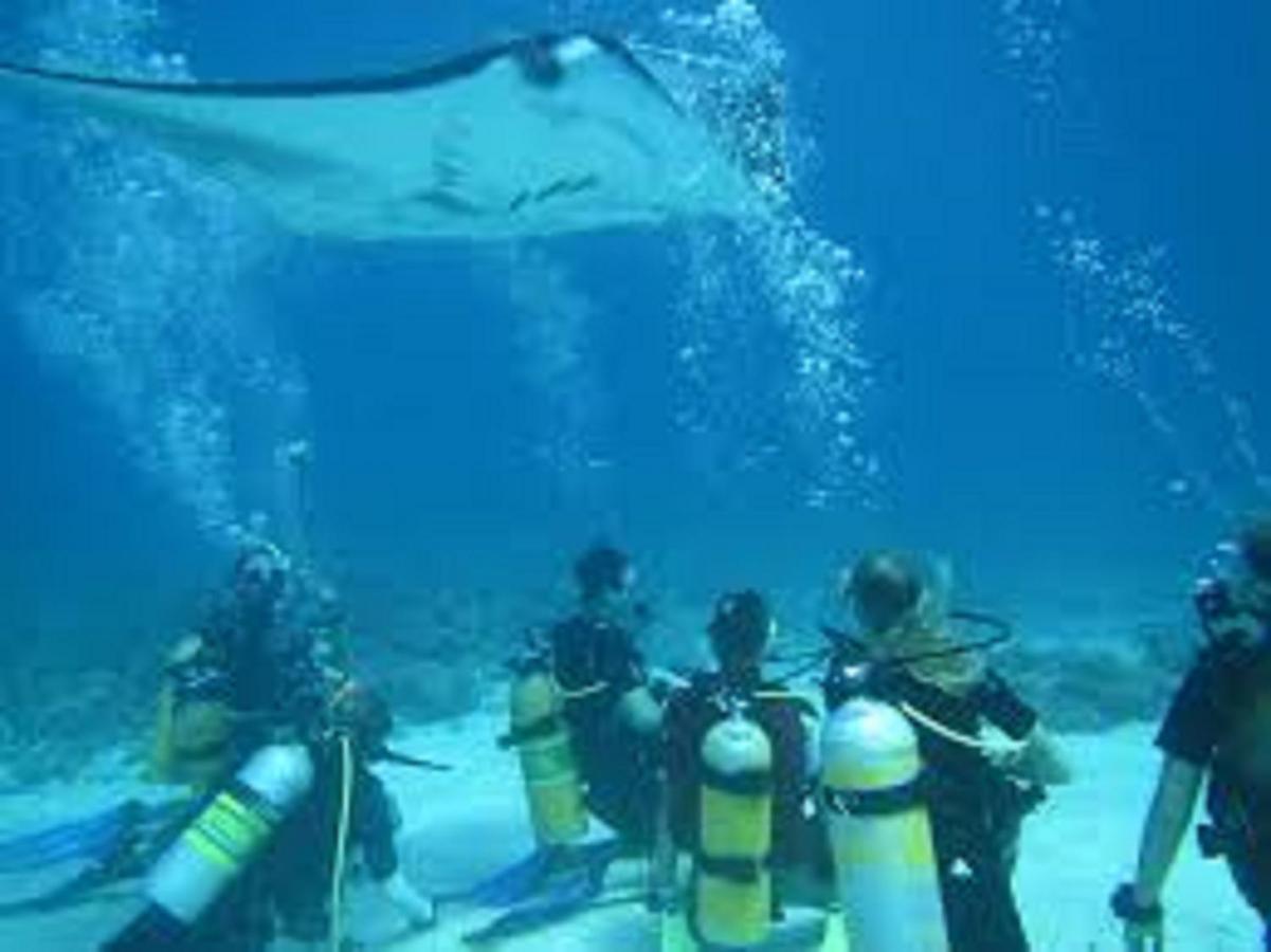 Fins Dive And Leisure Hotel Rasdhoo Eksteriør bilde